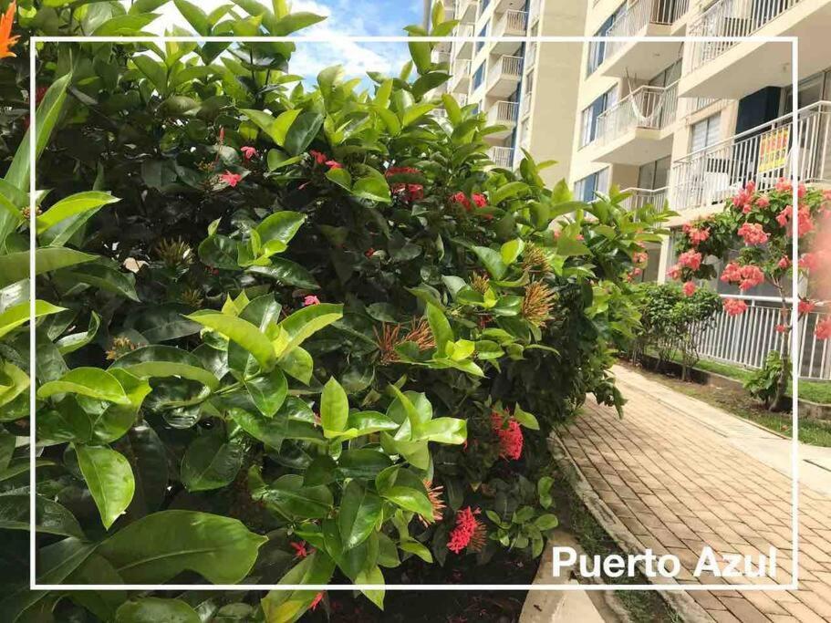 Hermoso En Club House Cerca A Piscilago Apartment *